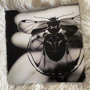 New! Bug Themed Writing Journal with AI Cover and Interior Pictures
